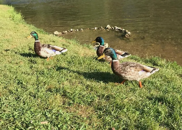 La Bergerie En Bord D'aveyron *