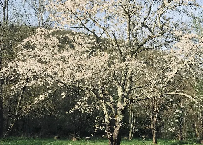 La Bergerie En Bord D'aveyron Appartement