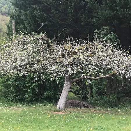 La Bergerie En Bord D'aveyron 생트 앙토낭