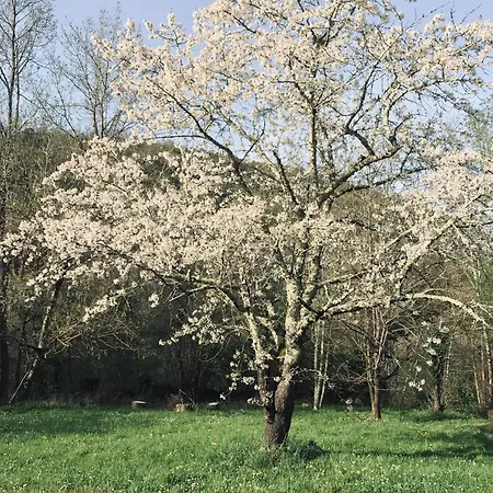 La Bergerie En Bord D'aveyron Apartamento