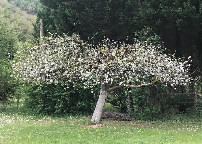 La Bergerie En Bord D'aveyron سان أنتونين